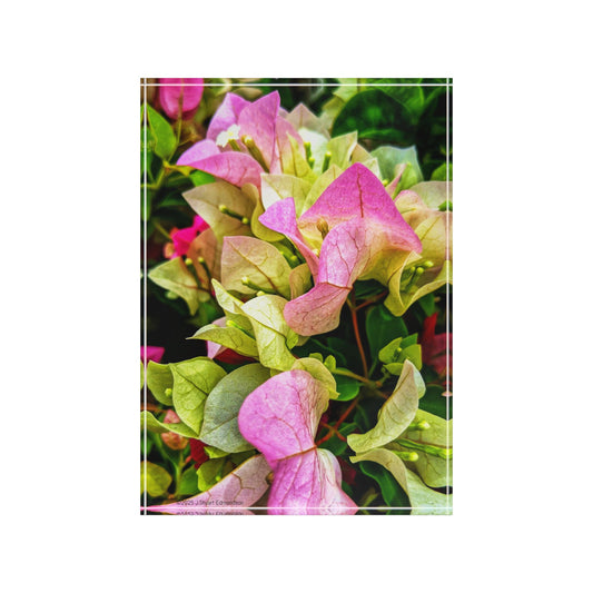Swamis Vibe Surf and Sunsets Gallery Presents Colorful Flowers Bougainvillea 3D Photo Block Floral Photography Display Block, Home Decor, Gift for Nature Lovers, Modern Wall Art, Mother's Day Gift