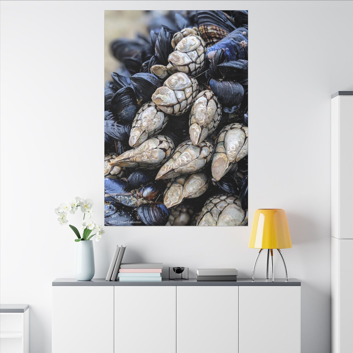 Swamis Vibe Encinitas California JSE Photograph #145 Swamis Reef Barnacles Coastal Themed Canvas Art, Beach Wall Decor, Nautical Home Decor, Ocean-Inspired Artwork, Gifts for Beach Lovers, Coastal Living