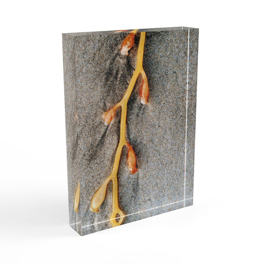 Swamis Vibe Surf and Sunsets 3D Photo Blocks - Kelp On The Beach #128 Nature-Inspired Photo Block, Decorative Home Decor, Modern Wall Art, Unique Gift, Nature Lovers, Rustic Aesthetic
