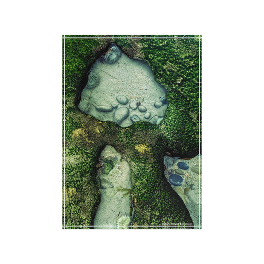 Swamis Vibe Surf and Sunsets 3D Photo Blocks Swamis Reef Tide Pool #229 Nature-Inspired Photo Block, Decorative Wall Art, Gift for Nature Lovers, Home Decor, Rustic Photo Display