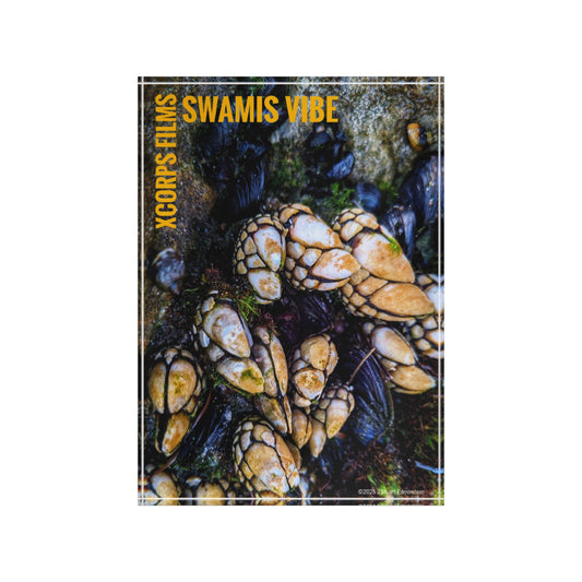 Swamis Vibe Surf and Sunsets Swamis Sea Life Colorful Nature Photo Block Display, Unique Home Decor, Gift for Nature Lovers, Desk Decoration, Boho Decor, Art Block