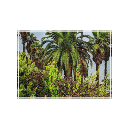 Swamis Vibe Surf and Sunsets Swamis Photo Block #225 Palm Grove Tropical Photo Block Display, Decorative Home Decor, Personalized Gift, Unique Wall Art, Perfect for Nature Lovers