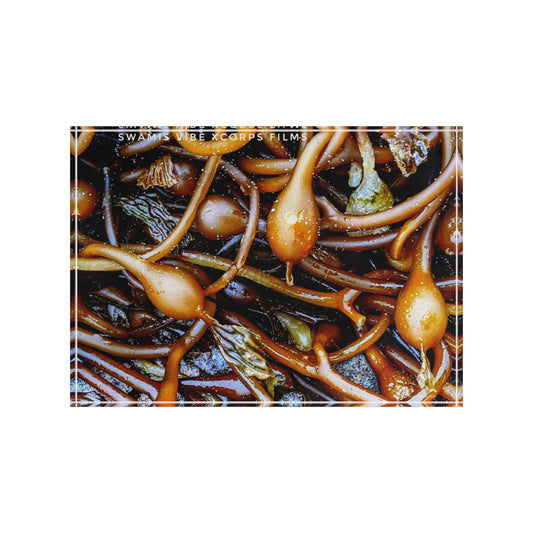 Swamis Vibe Surf and Sunsets 3D Photo Blocks Sea Kelp #257 Nature-Inspired Photo Block - Coastal Decor, Wall Art, Home Office Decoration, Unique Gift, Botanical Print