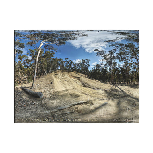 Carlsbad Eucalyptus Mono forest JSE Photograph #524 Hosp Woods Trails Carlsbad California Nature-Inspired Canvas Art