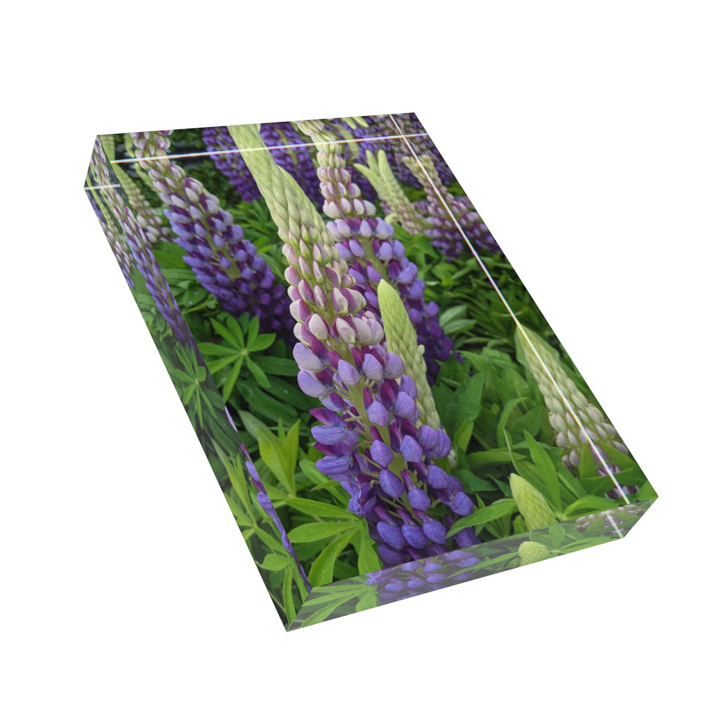 Swamis Vibe Surf and Sunsets 3D Photo Blocks #207 Freaky Purple Flowers Floral Photo Block Decor | Nature-Inspired Wall Art, Gift for Plant Lovers, Home Decoration, Mother's Day Gift,