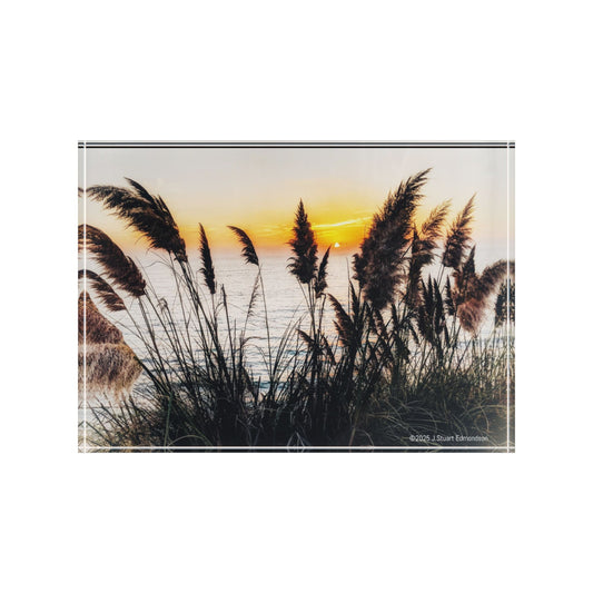 Swamis Vibe Surf and Sunsets Swamis Pampass Grass Sunset #1. Photo Block, Nature Display Stand, Home Decor, Gift for Him/Her, Personalized Photography