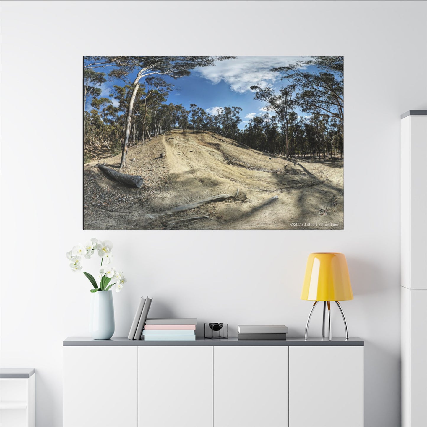 Carlsbad Eucalyptus Mono forest JSE Photograph #524 Hosp Woods Trails Carlsbad California Nature-Inspired Canvas Art