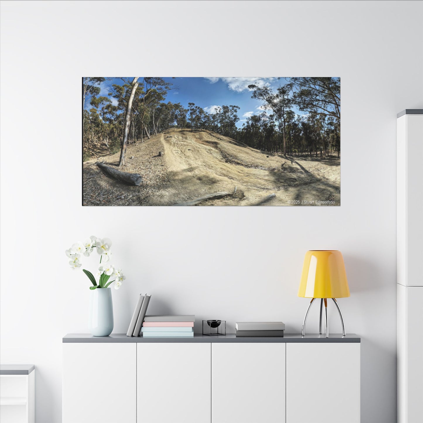 Carlsbad Eucalyptus Mono forest JSE Photograph #524 Hosp Woods Trails Carlsbad California Nature-Inspired Canvas Art