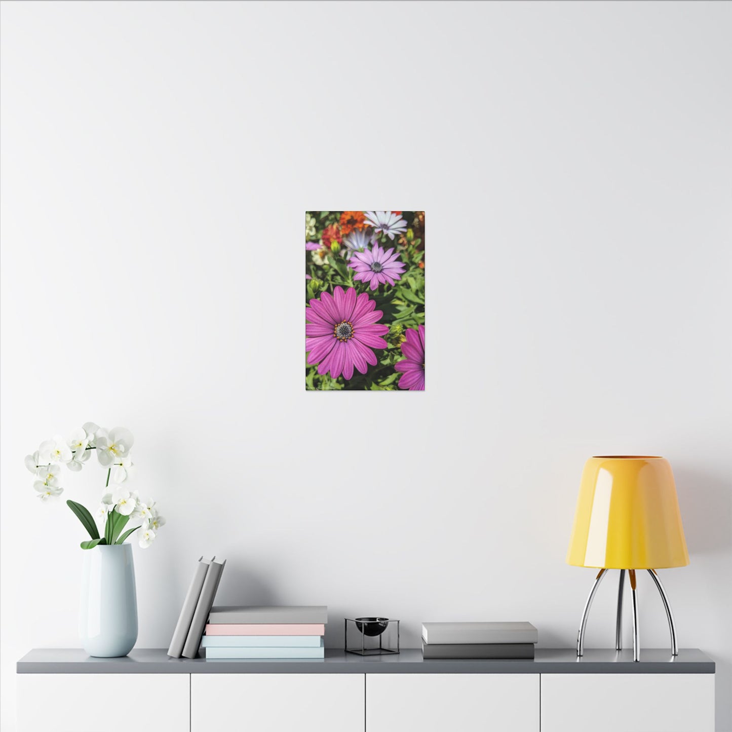 Swamis Vibe Encinitas California JSE Photograph #1127 Lavender African Daisies Encinitas California Floral Canvas Print for Home or Office