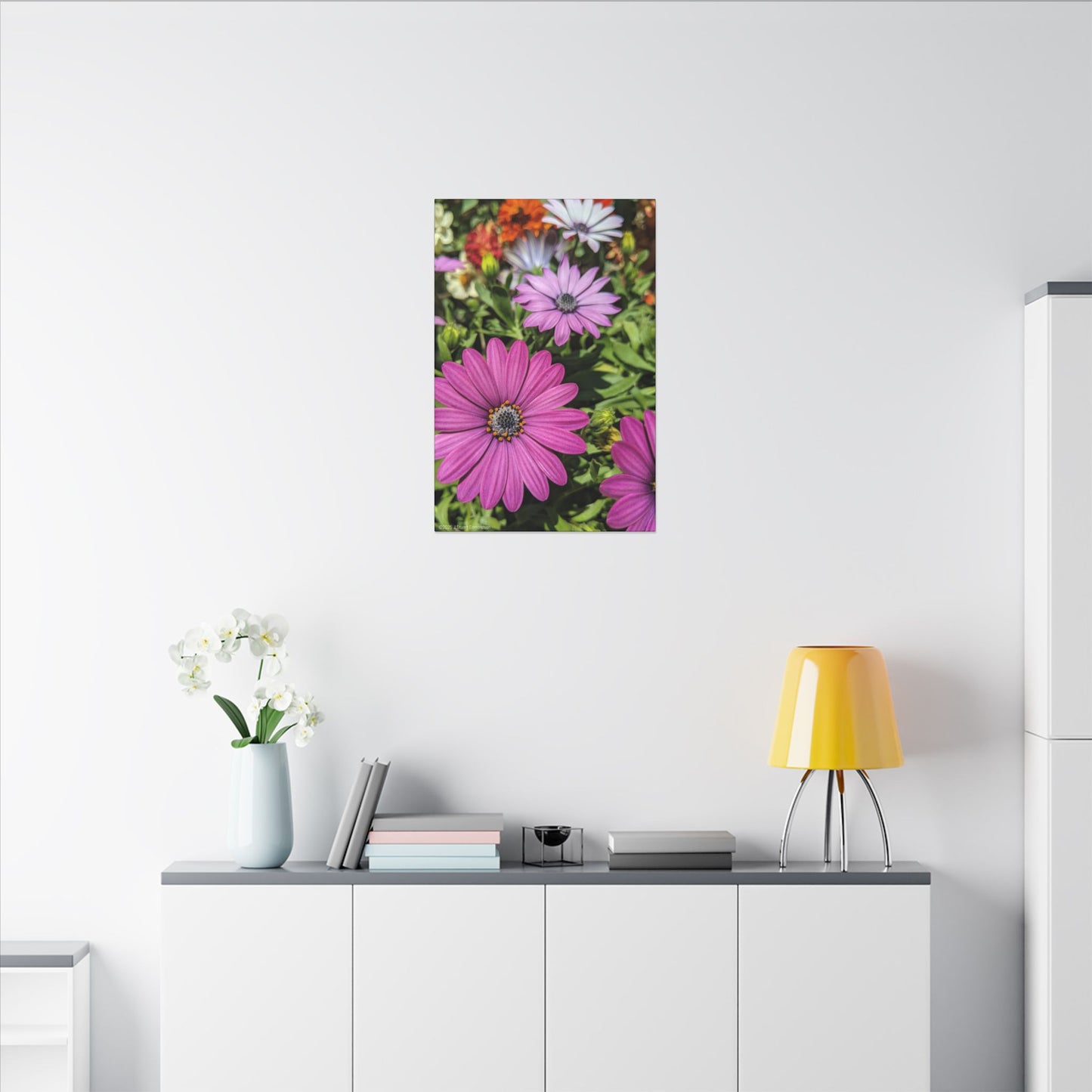 Swamis Vibe Encinitas California JSE Photograph #1127 Lavender African Daisies Encinitas California Floral Canvas Print for Home or Office