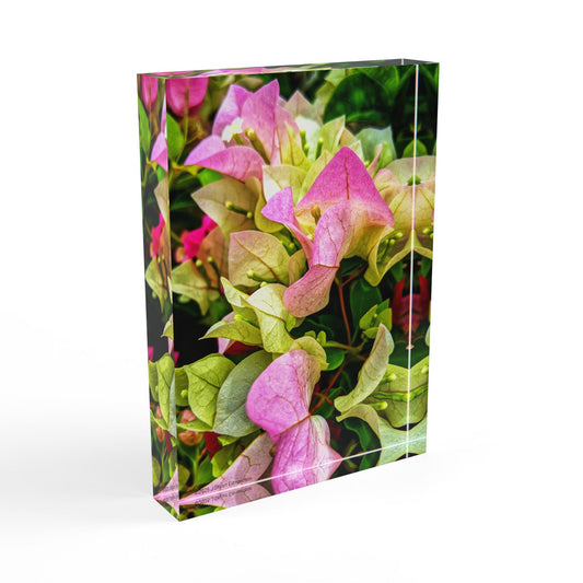 Swamis Vibe Surf and Sunsets Gallery Presents Colorful Flowers Bougainvillea 3D Photo Block Floral Photography Display Block, Home Decor, Gift for Nature Lovers, Modern Wall Art, Mother's Day Gift