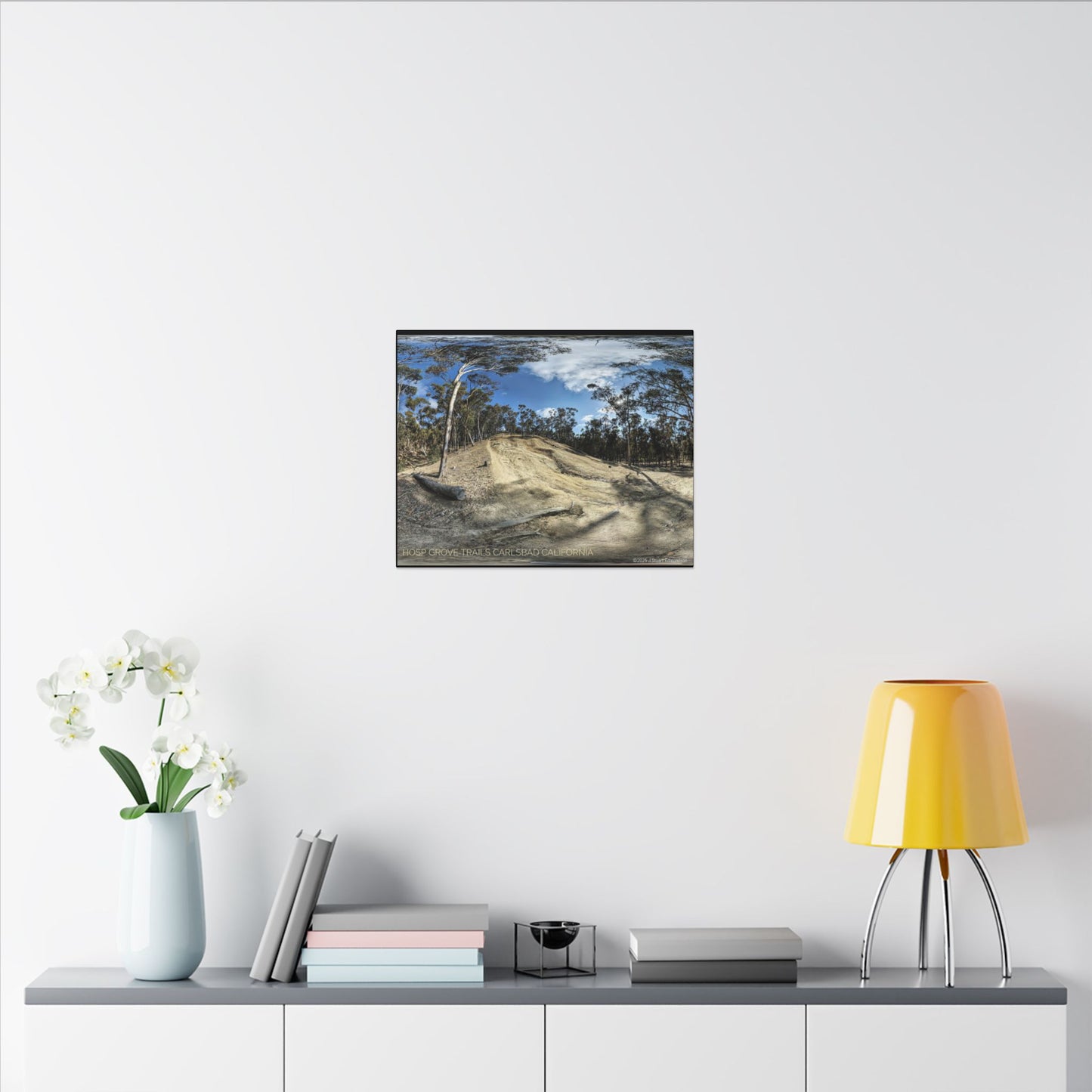 Carlsbad Eucalyptus Mono forest JSE Photograph #524 Hosp Woods Trails Carlsbad California Nature-Inspired Canvas Art