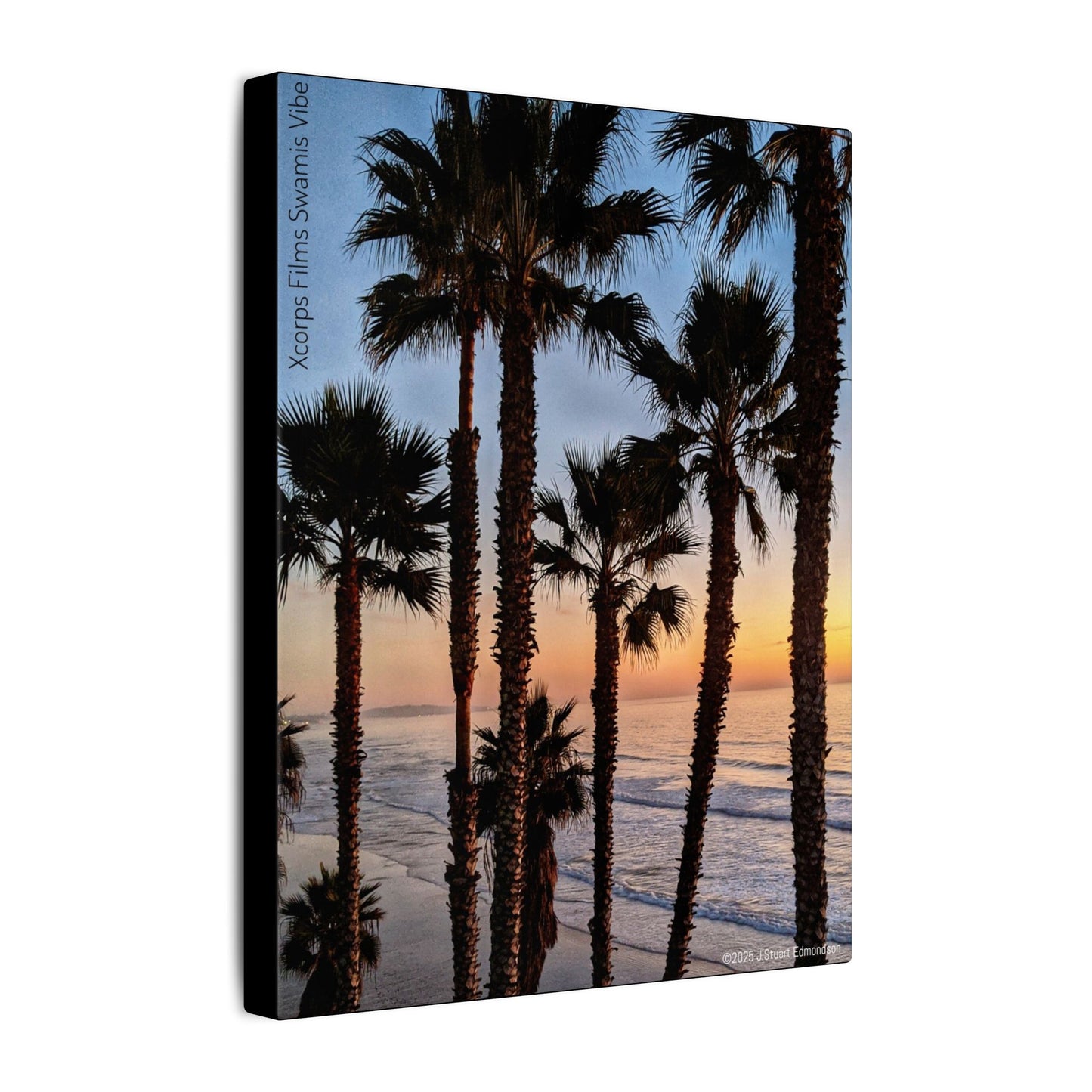 Swamis Vibe Encinitas California JSE Photograph #417 Swamis Park Palm Grove Coastal Sunset Canvas Print, Beach Wall Art, Home Decor, Coastal Decor, Ocean Landscape, Gift for Beach Lovers