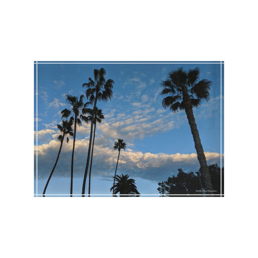 Swamis Vibe Surf and Sunsets Swamis Palm Trees Photo Block #248 Photo Block Art Display, Nature Decor, Beach Photography, Gift for Home Office, Coastal Wall Art, Landscape Photo Block