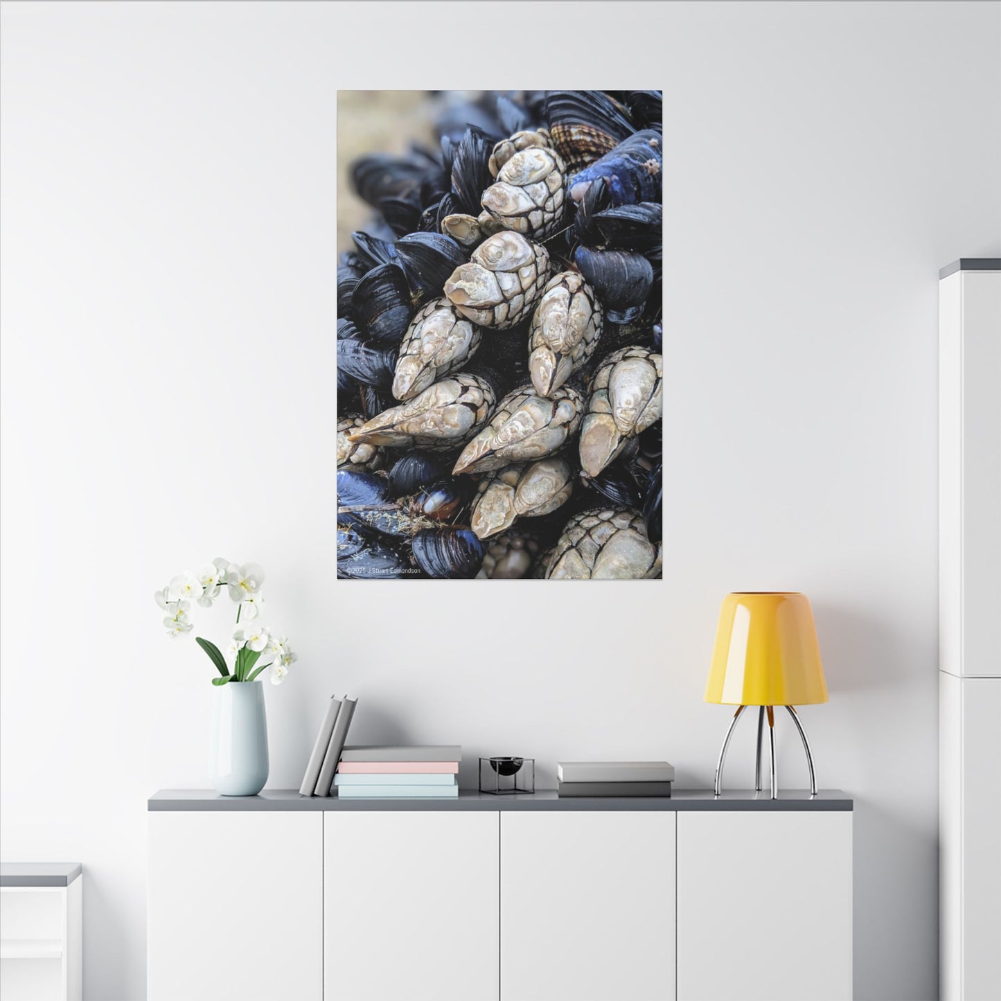 Swamis Vibe Encinitas California JSE Photograph #145 Swamis Reef Barnacles Coastal Themed Canvas Art, Beach Wall Decor, Nautical Home Decor, Ocean-Inspired Artwork, Gifts for Beach Lovers, Coastal Living