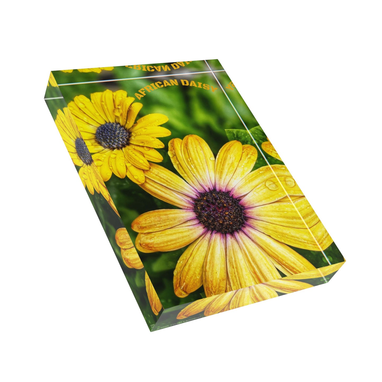 Swamis Vibe Surf and Sunsets Encinitas California Floral Photo Block Display with Yellow Flowers Home Decor, Gift for Garden Lovers, Customizable Wall Art, Spring Decor