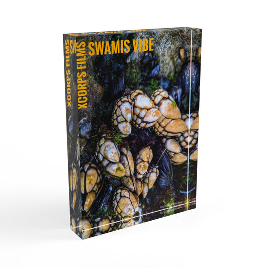 Swamis Vibe Surf and Sunsets Swamis Sea Life Colorful Nature Photo Block Display, Unique Home Decor, Gift for Nature Lovers, Desk Decoration, Boho Decor, Art Block