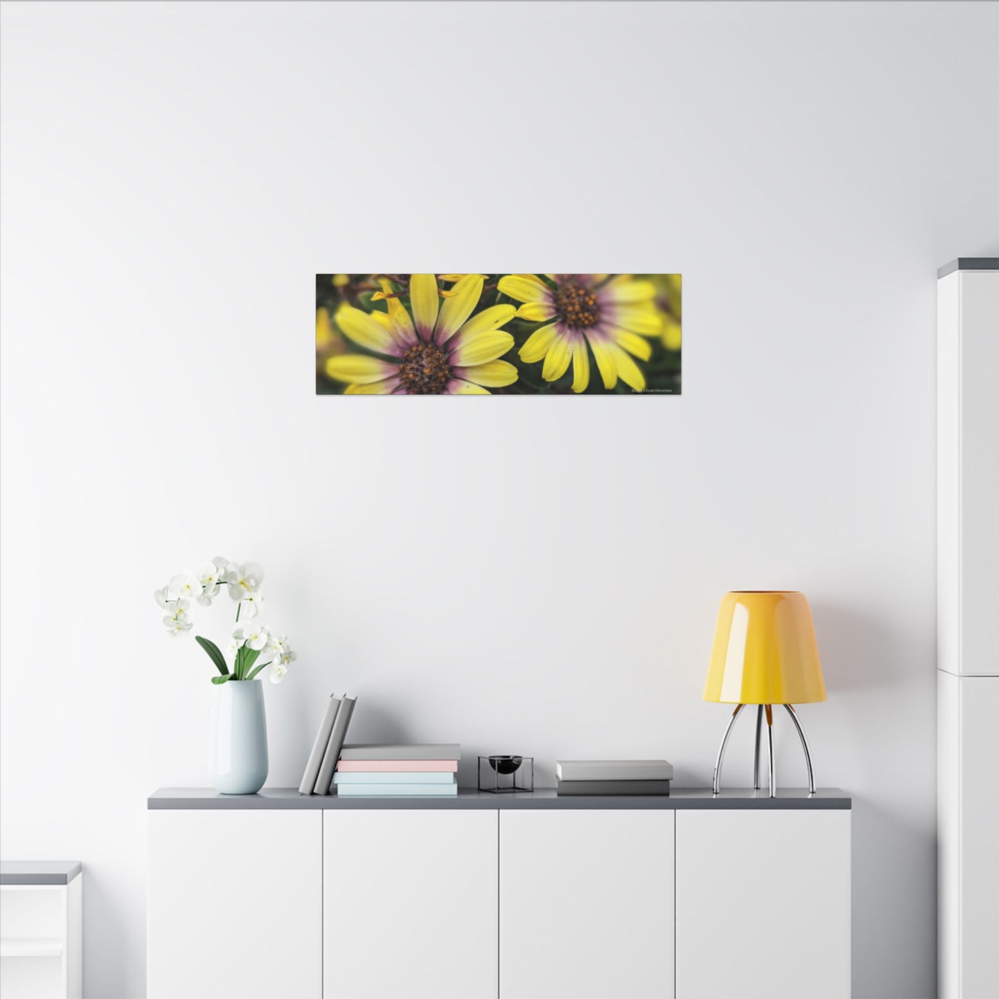 Swamis Vibe Encinitas California JSE Photograph #207 African Daisies at Swamis Floral Wall Art Print, Home Decor, Nature Artwork, Bright Flower Canvas, Gift for Garden Lovers, Spring Decoration