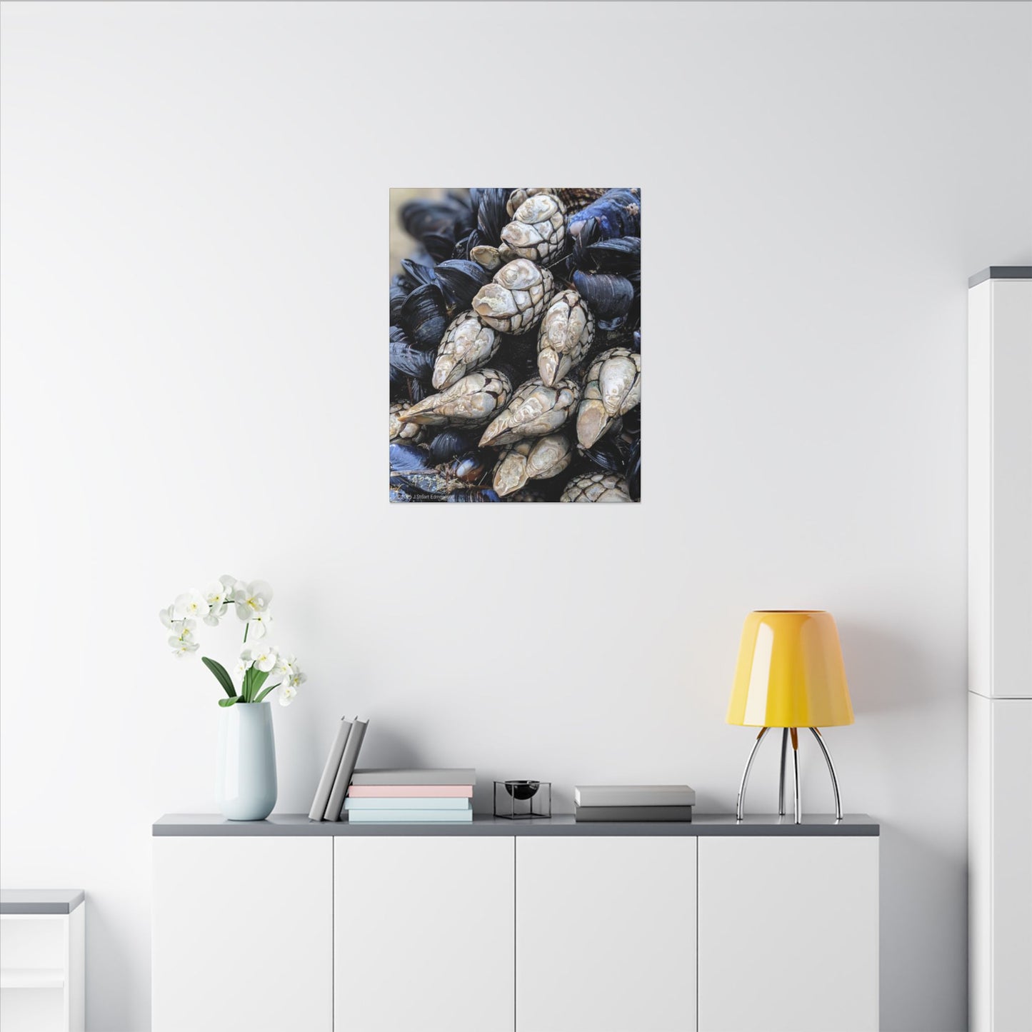 Swamis Vibe Encinitas California JSE Photograph #145 Swamis Reef Barnacles Coastal Themed Canvas Art, Beach Wall Decor, Nautical Home Decor, Ocean-Inspired Artwork, Gifts for Beach Lovers, Coastal Living