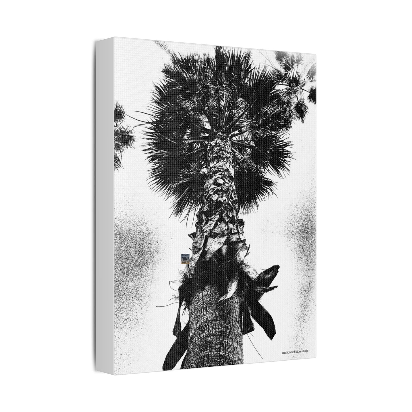 Swamis Vibe Encinitas California JSE Photograph #105 Palm Tree Black and White Palm Tree Canvas Wall Art, Tropical Decor, Botanical Artwork, Modern Home Aesthetic, Gift for Nature Lovers