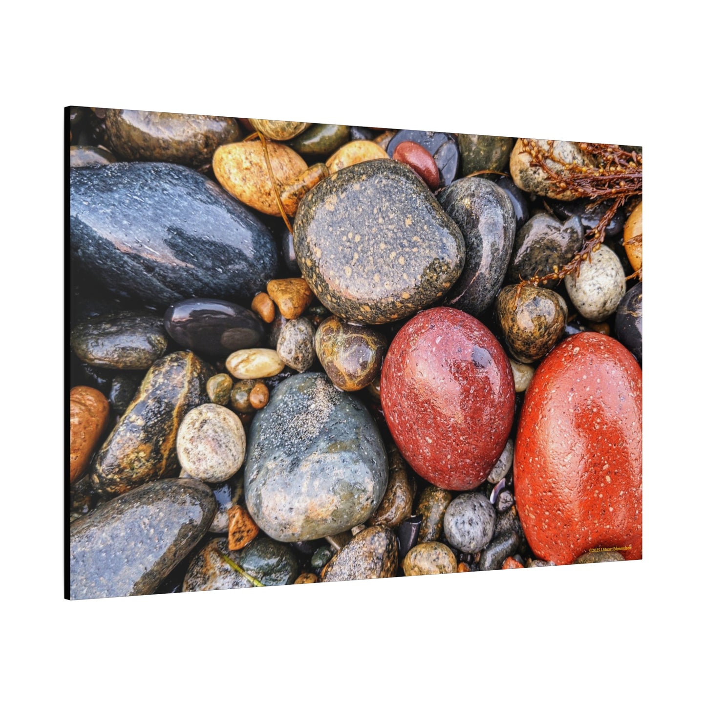 Swamis Vibe Encinitas California JSE Photograph - Beach Rocks Mix #426 Natural Stone Art Canvas, Home Decor, Wall Art, Gift for Nature Lovers, Rustic Aesthetic, Gallery Wrap Print