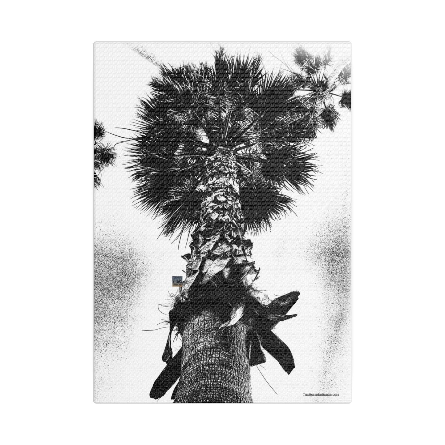 Swamis Vibe Encinitas California JSE Photograph #105 Palm Tree Black and White Palm Tree Canvas Wall Art, Tropical Decor, Botanical Artwork, Modern Home Aesthetic, Gift for Nature Lovers