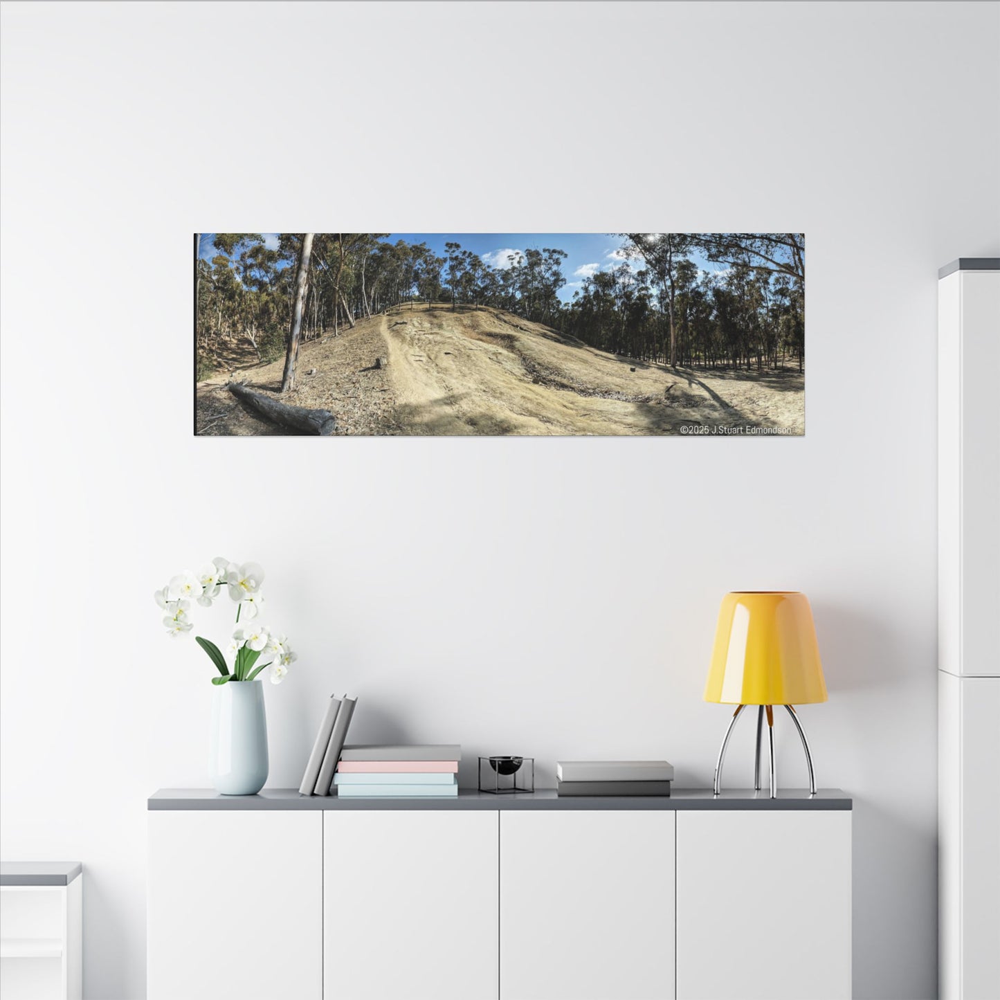 Carlsbad Eucalyptus Mono forest JSE Photograph #524 Hosp Woods Trails Carlsbad California Nature-Inspired Canvas Art