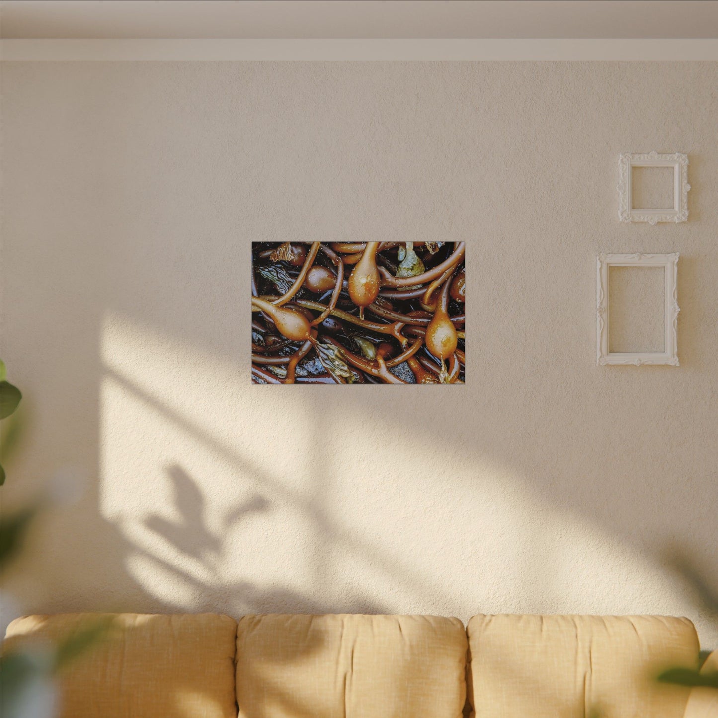 Swamis Vibe Encinitas California JSE Photograph #1244 Sea Kelp Nature Inspired Stretched Canvas Print, Ocean Decor, Wall Art for Beach Lovers, Coastal Home Decor, Unique Gift Idea