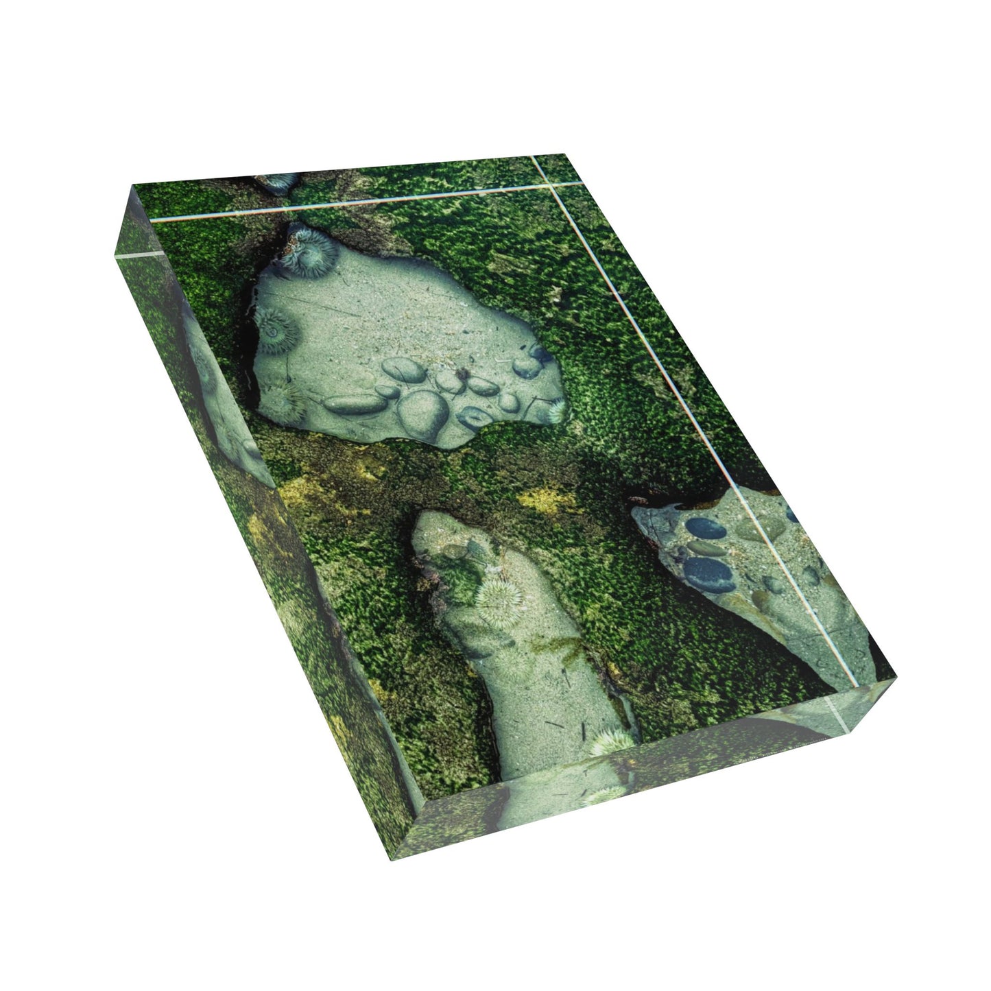 Swamis Vibe Surf and Sunsets 3D Photo Blocks Swamis Reef Tide Pool #229 Nature-Inspired Photo Block, Decorative Wall Art, Gift for Nature Lovers, Home Decor, Rustic Photo Display