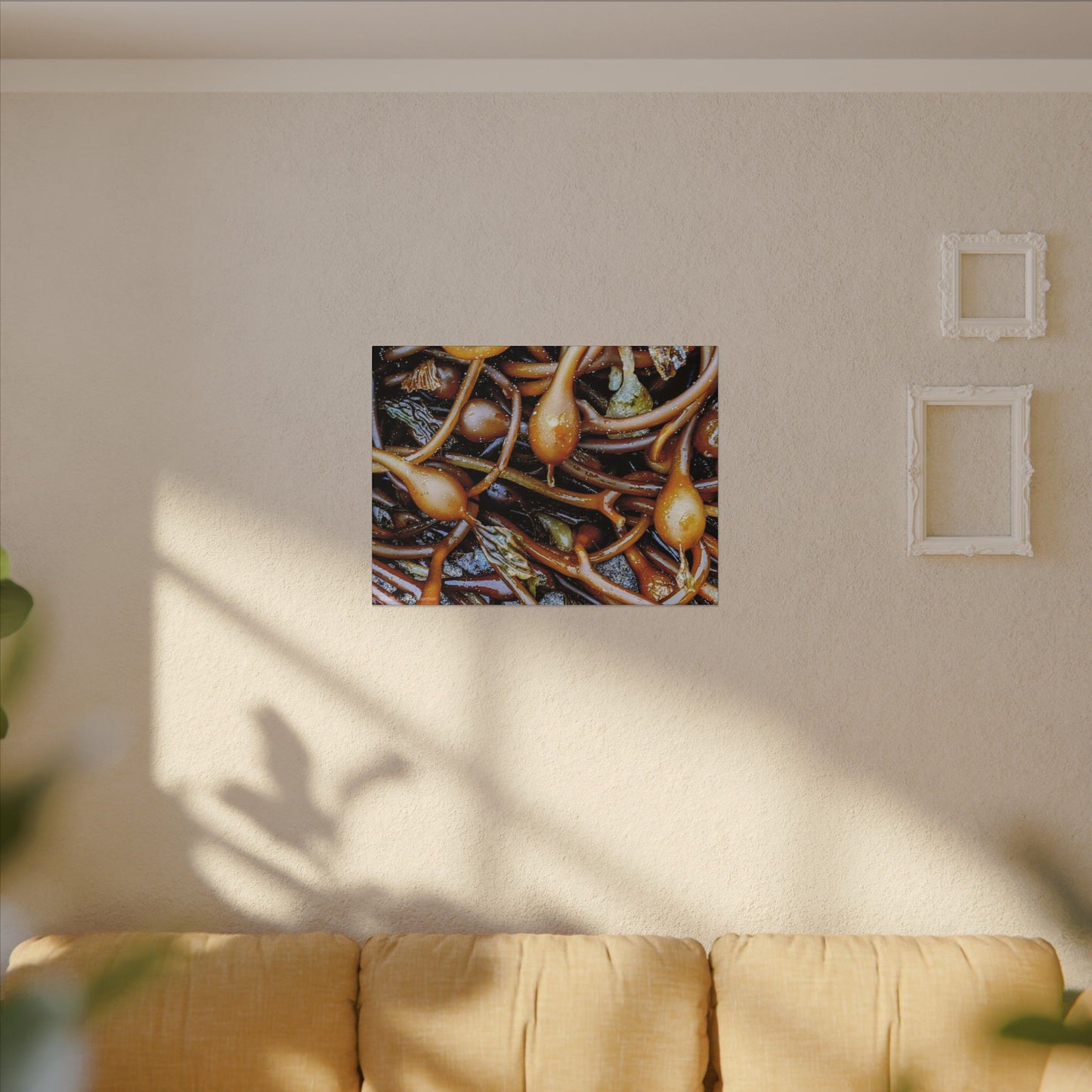 Swamis Vibe Encinitas California JSE Photograph #1244 Sea Kelp Nature Inspired Stretched Canvas Print, Ocean Decor, Wall Art for Beach Lovers, Coastal Home Decor, Unique Gift Idea