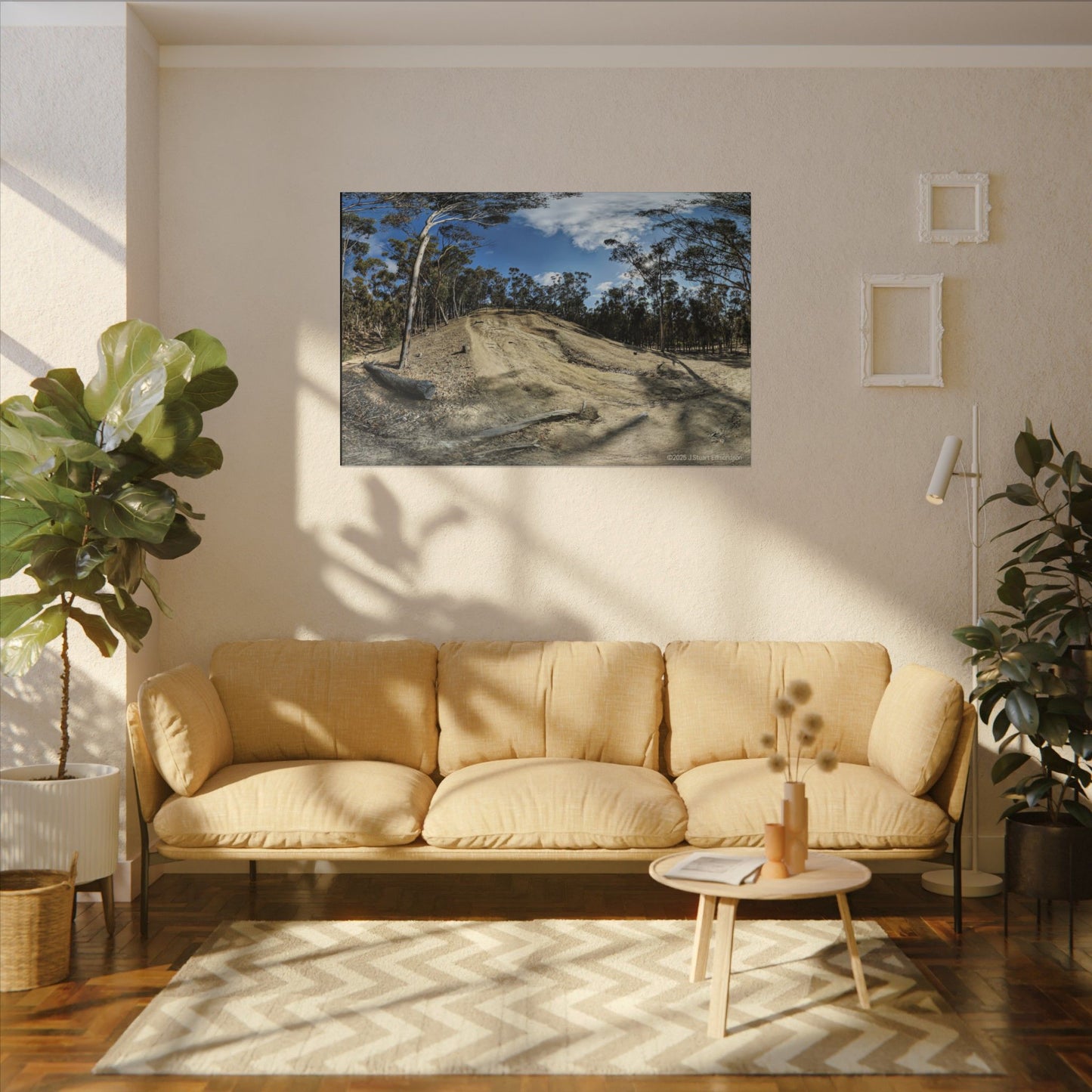 Carlsbad Eucalyptus Mono forest JSE Photograph #524 Hosp Woods Trails Carlsbad California Nature-Inspired Canvas Art