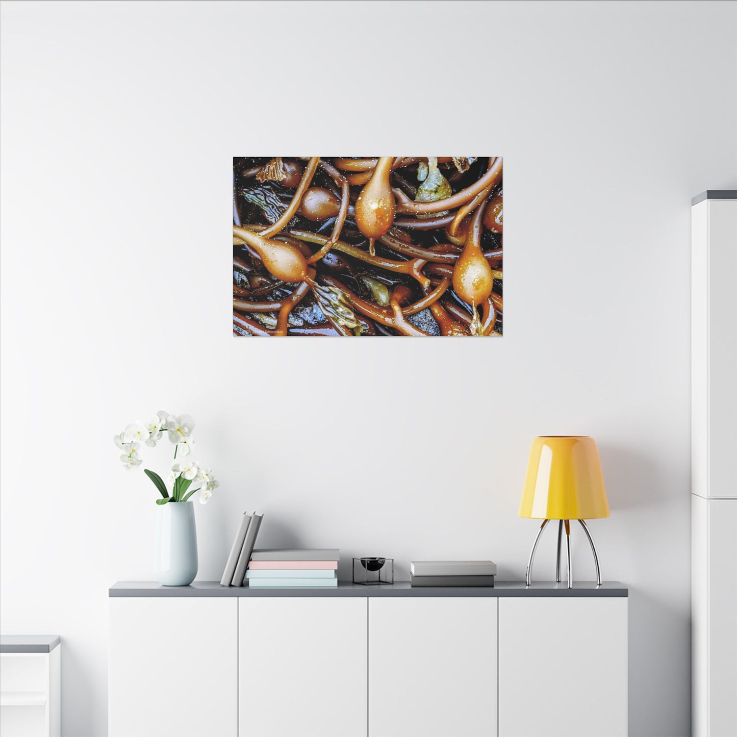 Swamis Vibe Encinitas California JSE Photograph #1244 Sea Kelp Nature Inspired Stretched Canvas Print, Ocean Decor, Wall Art for Beach Lovers, Coastal Home Decor, Unique Gift Idea