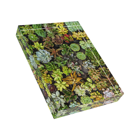 Swamis Vibe Surf and Sunsets Gallery Presents Colorful Flowers CACTUS MIX 3D Photo Block Succulent Photo Display, Home Decor Picture Frame, Plant Lover Gift, Office Desk Decor, Modern Wall Art