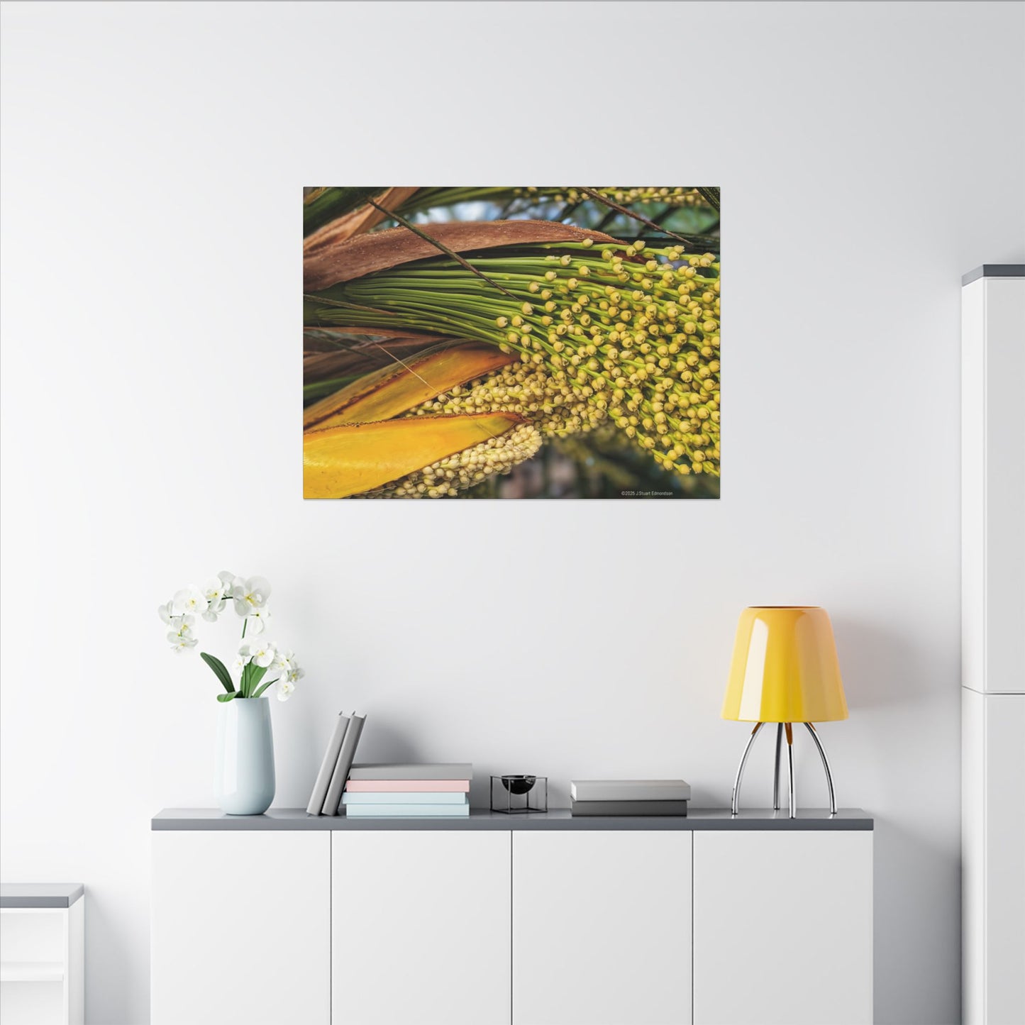 Swamis Vibe Encinitas California JSE Photograph #151. Palm Flowers Vibrant Botanical Canvas Print | Wall Decor, Nature Art, Home Aesthetic, Gift for Plant Lovers, Modern Interior Design