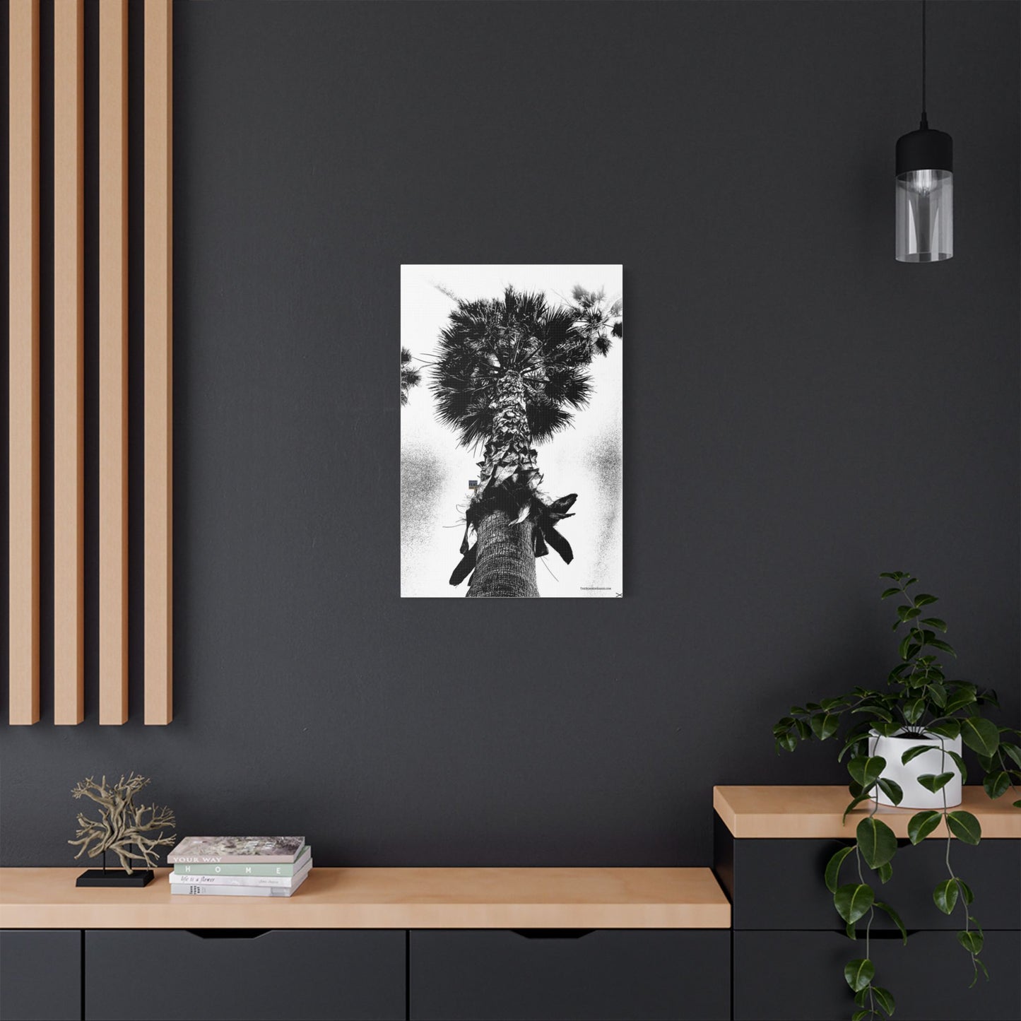 Swamis Vibe Encinitas California JSE Photograph #105 Palm Tree Black and White Palm Tree Canvas Wall Art, Tropical Decor, Botanical Artwork, Modern Home Aesthetic, Gift for Nature Lovers
