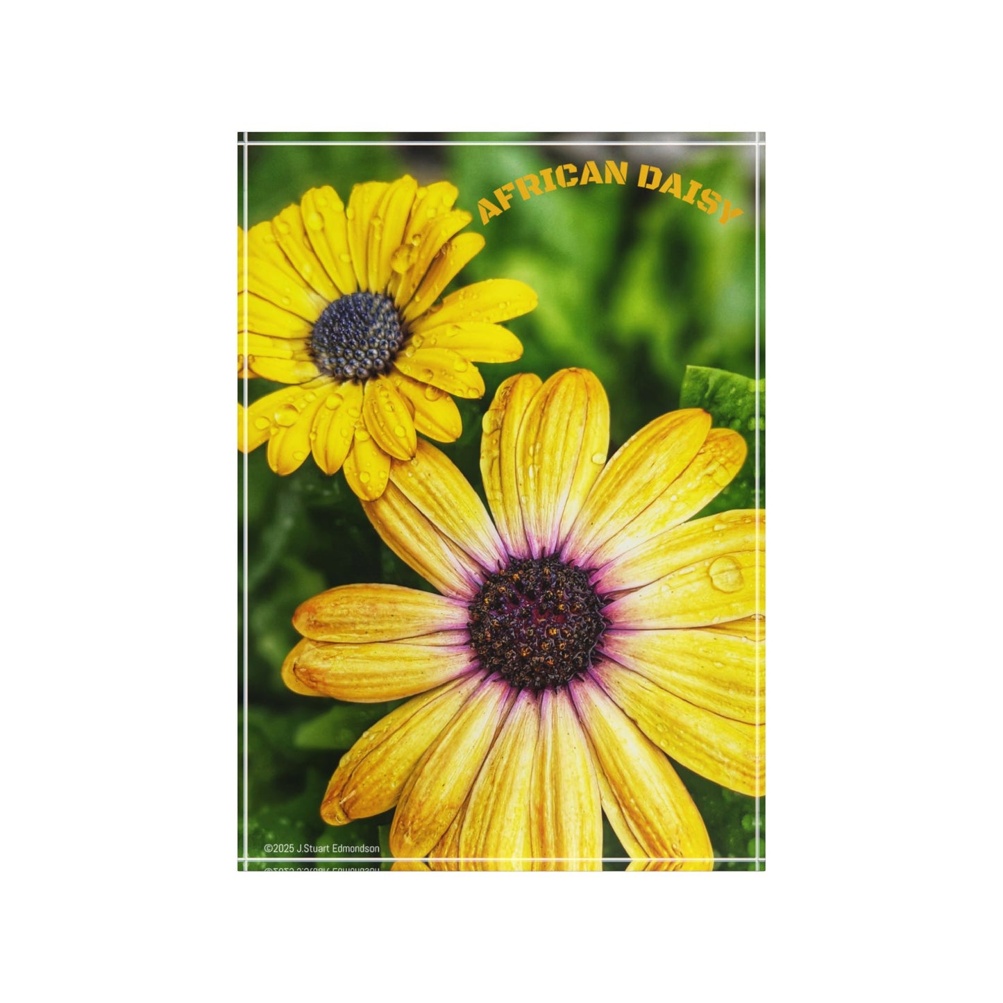 Swamis Vibe Surf and Sunsets Encinitas California Floral Photo Block Display with Yellow Flowers Home Decor, Gift for Garden Lovers, Customizable Wall Art, Spring Decor