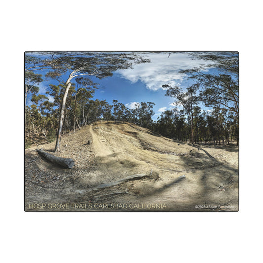 Carlsbad Eucalyptus Mono forest JSE Photograph #524 Hosp Woods Trails Carlsbad California Nature-Inspired Canvas Art