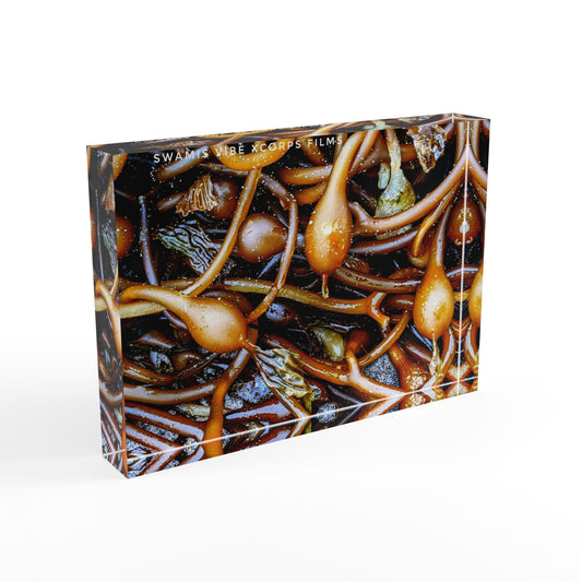 Swamis Vibe Surf and Sunsets 3D Photo Blocks Sea Kelp #257 Nature-Inspired Photo Block - Coastal Decor, Wall Art, Home Office Decoration, Unique Gift, Botanical Print
