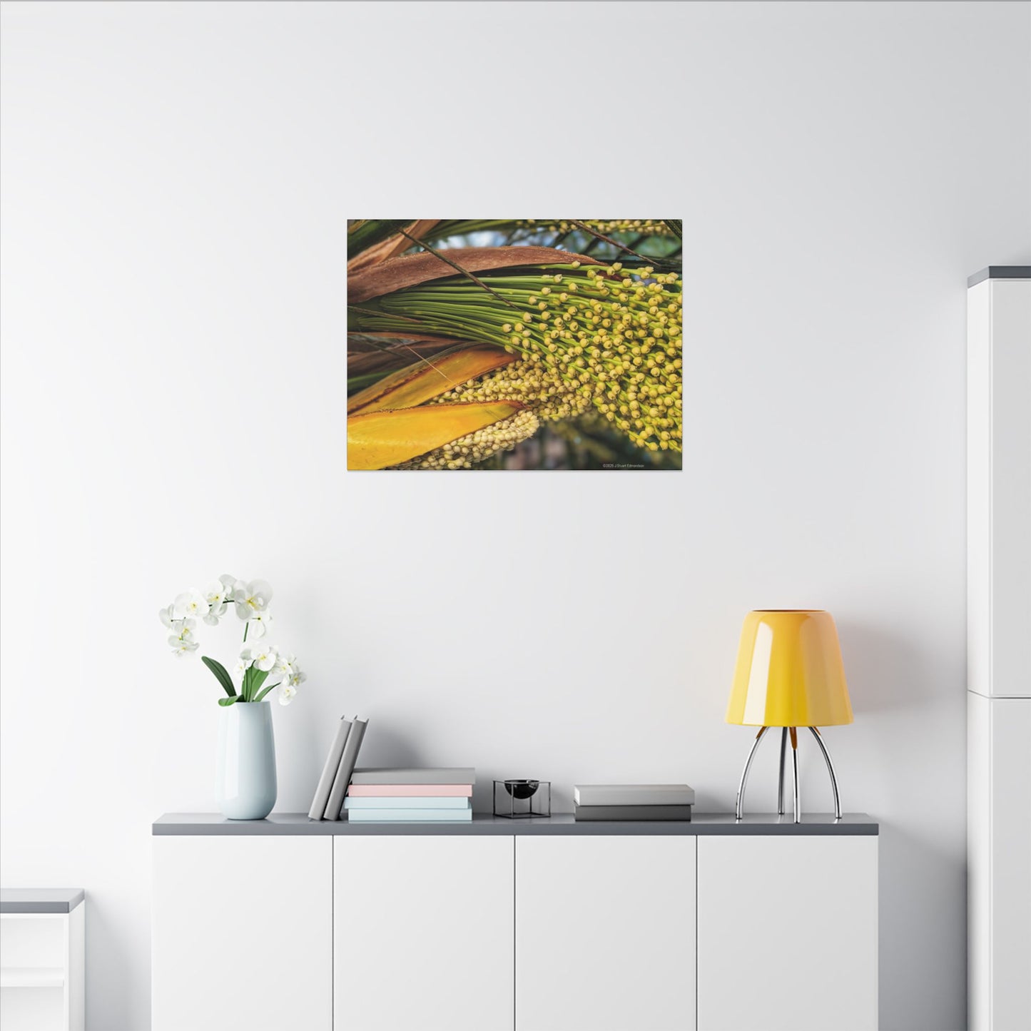 Swamis Vibe Encinitas California JSE Photograph #151. Palm Flowers Vibrant Botanical Canvas Print | Wall Decor, Nature Art, Home Aesthetic, Gift for Plant Lovers, Modern Interior Design