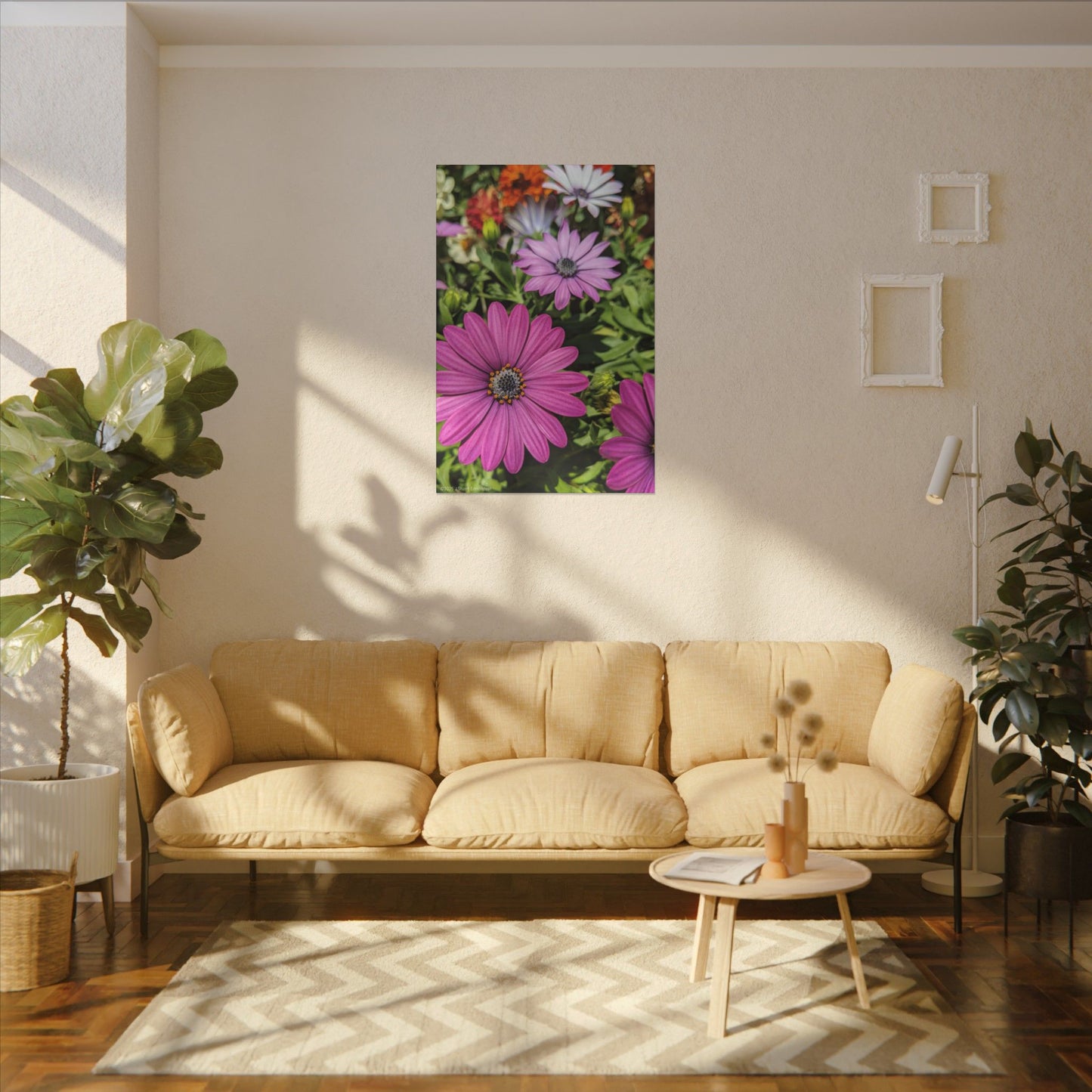 Swamis Vibe Encinitas California JSE Photograph #1127 Lavender African Daisies Encinitas California Floral Canvas Print for Home or Office