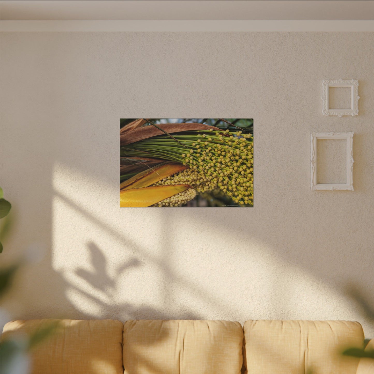 Swamis Vibe Encinitas California JSE Photograph #151. Palm Flowers Vibrant Botanical Canvas Print | Wall Decor, Nature Art, Home Aesthetic, Gift for Plant Lovers, Modern Interior Design