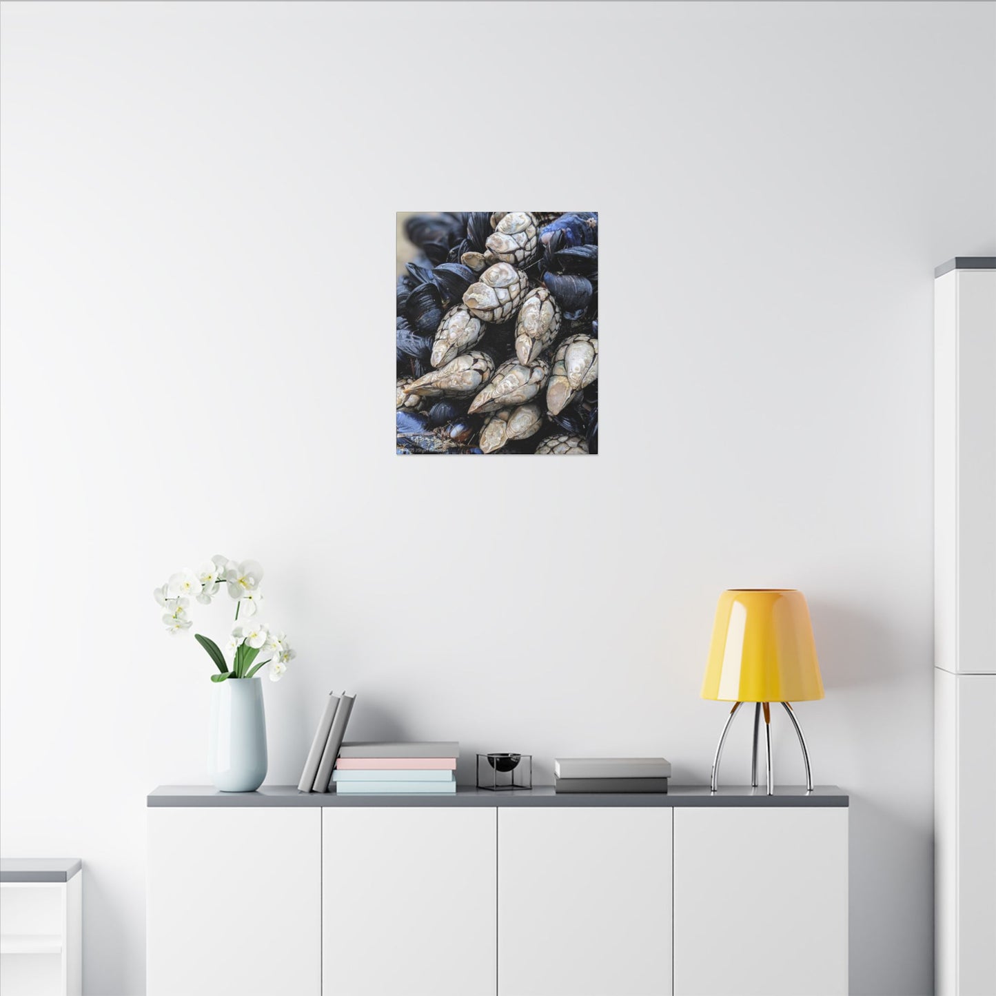 Swamis Vibe Encinitas California JSE Photograph #145 Swamis Reef Barnacles Coastal Themed Canvas Art, Beach Wall Decor, Nautical Home Decor, Ocean-Inspired Artwork, Gifts for Beach Lovers, Coastal Living