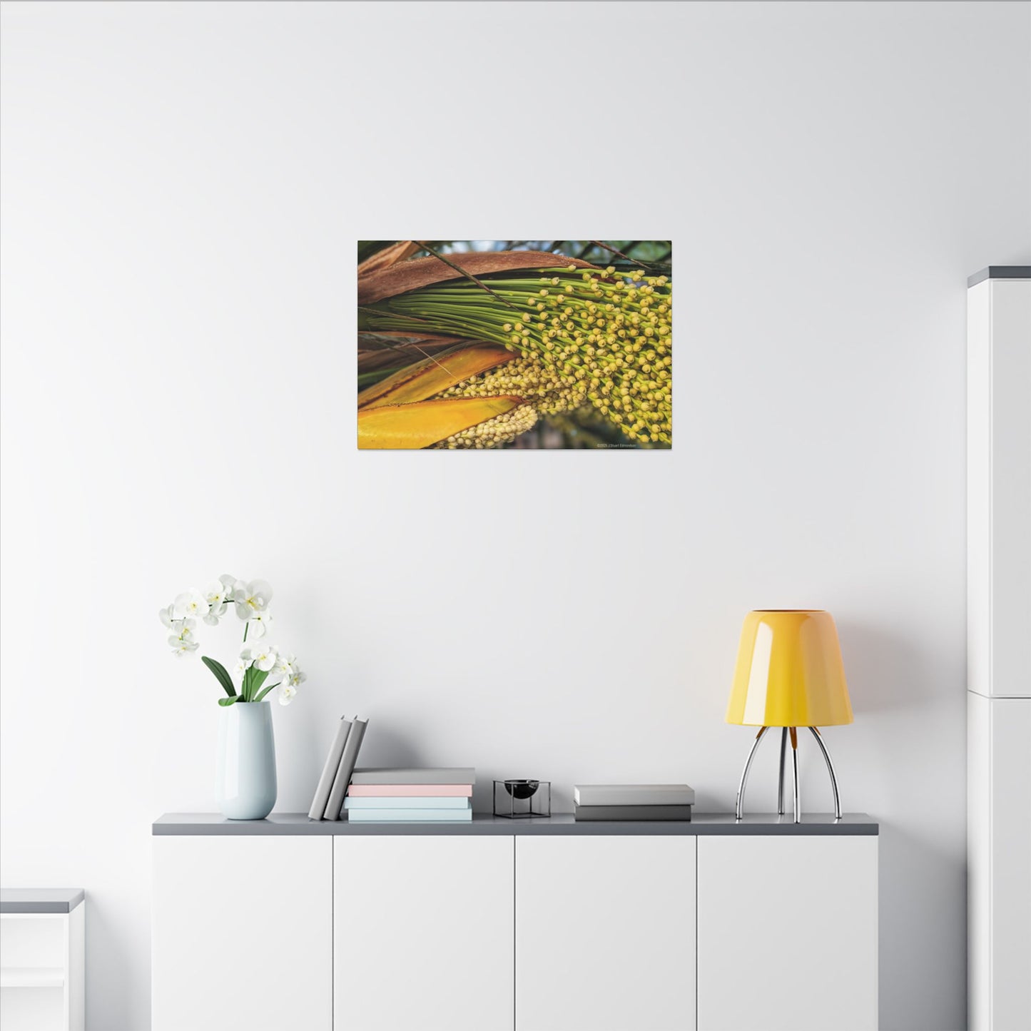 Swamis Vibe Encinitas California JSE Photograph #151. Palm Flowers Vibrant Botanical Canvas Print | Wall Decor, Nature Art, Home Aesthetic, Gift for Plant Lovers, Modern Interior Design