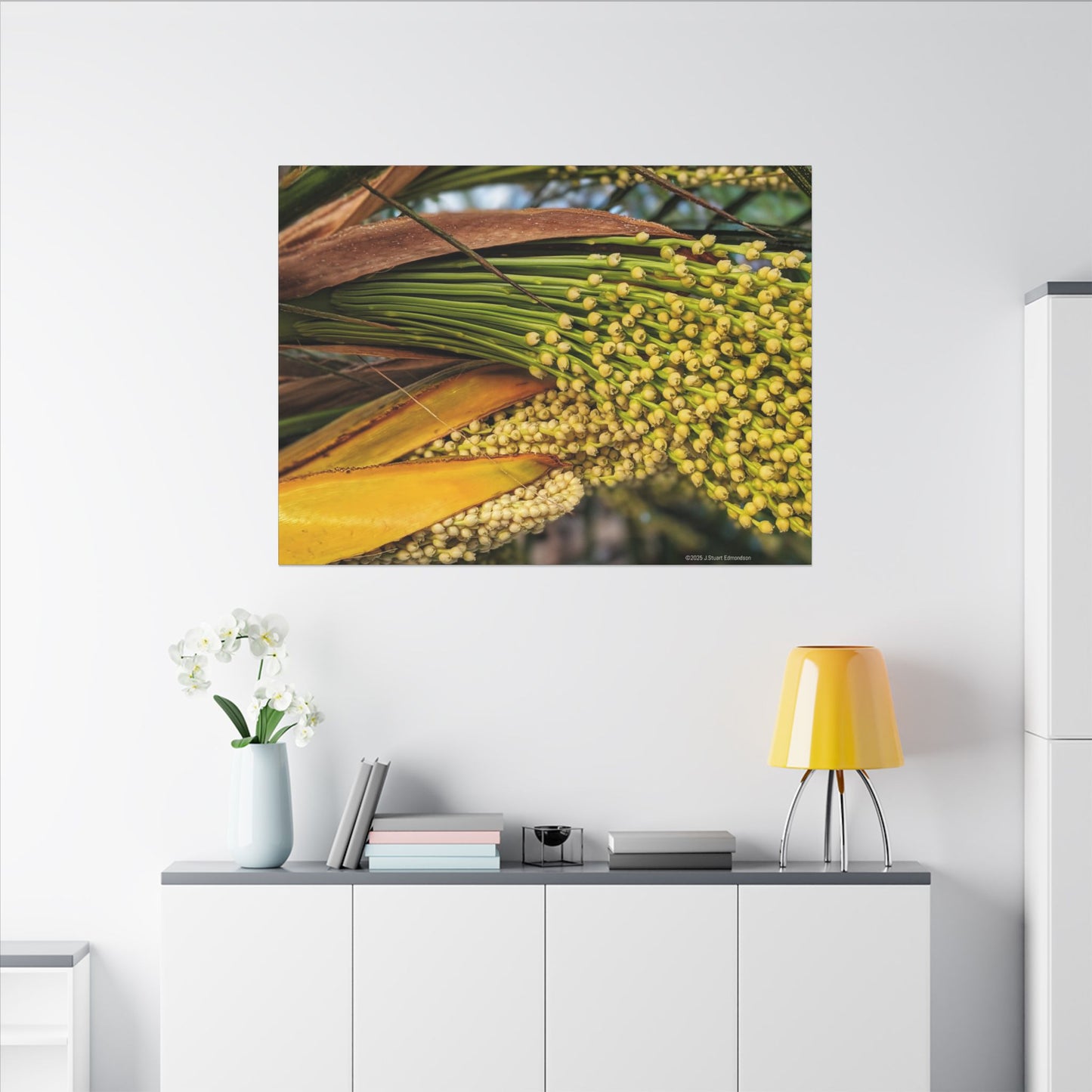 Swamis Vibe Encinitas California JSE Photograph #151. Palm Flowers Vibrant Botanical Canvas Print | Wall Decor, Nature Art, Home Aesthetic, Gift for Plant Lovers, Modern Interior Design