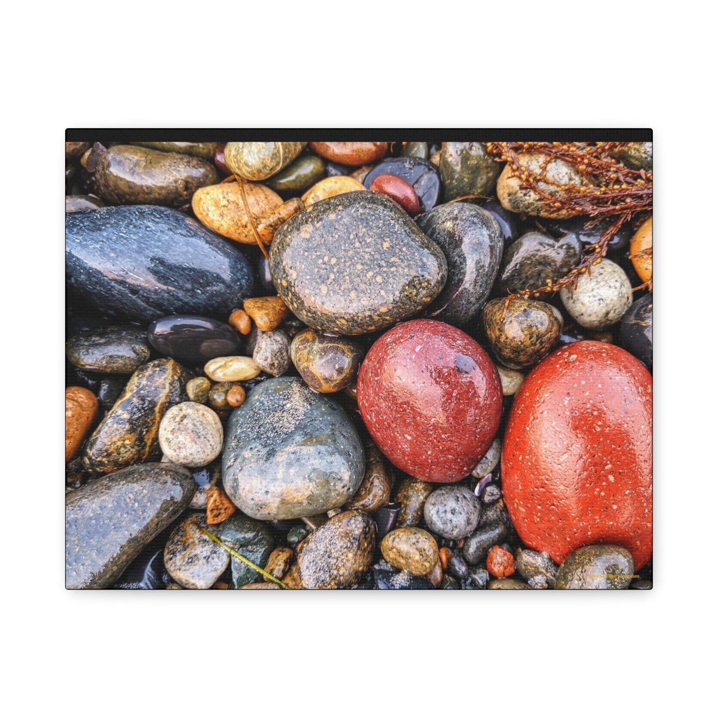 Swamis Vibe Encinitas California JSE Photograph - Beach Rocks Mix #426 Natural Stone Art Canvas, Home Decor, Wall Art, Gift for Nature Lovers, Rustic Aesthetic, Gallery Wrap Print