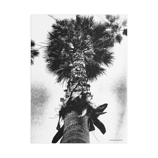 Swamis Vibe Encinitas California JSE Photograph #105 Palm Tree Black and White Palm Tree Canvas Wall Art, Tropical Decor, Botanical Artwork, Modern Home Aesthetic, Gift for Nature Lovers