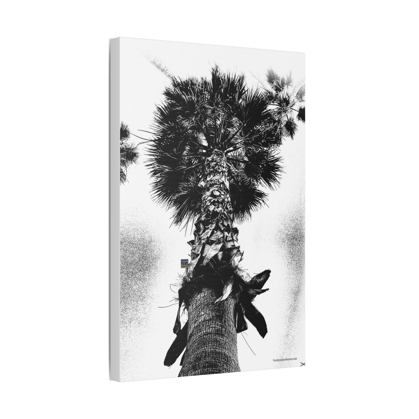Swamis Vibe Encinitas California JSE Photograph #105 Palm Tree Black and White Palm Tree Canvas Wall Art, Tropical Decor, Botanical Artwork, Modern Home Aesthetic, Gift for Nature Lovers