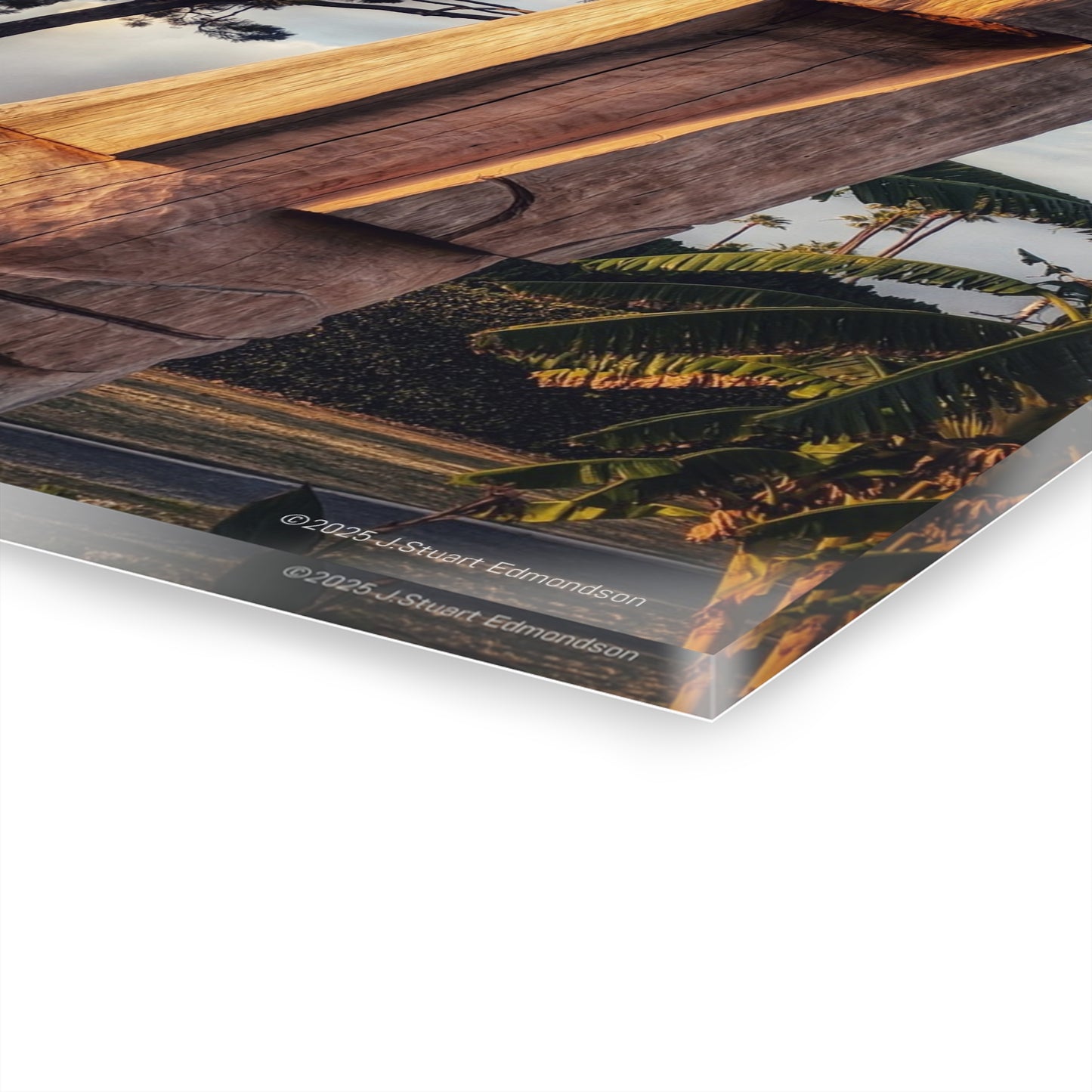 Swamis Vibe Surf and Sunsets Swamis Tiki Totem Artistic Acrylic Wall Print - Modern Home Decor, Abstract Art, Gift for Art Lovers, Unique Wall Decor, Great for Living Room