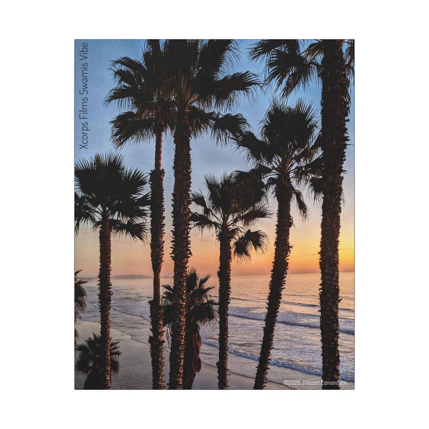 Swamis Vibe Encinitas California JSE Photograph #417 Swamis Park Palm Grove Coastal Sunset Canvas Print, Beach Wall Art, Home Decor, Coastal Decor, Ocean Landscape, Gift for Beach Lovers