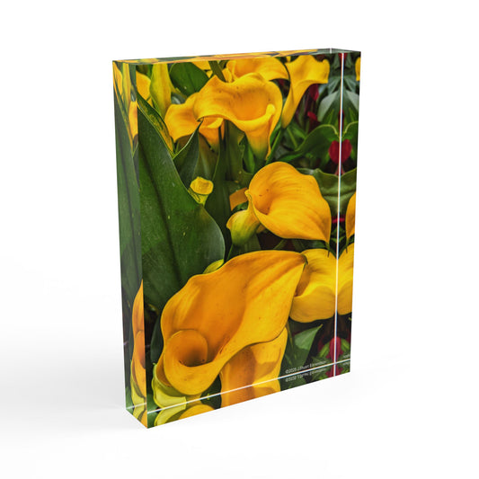 Swamis Vibe Surf and Sunsets Gallery Presents Colorful Flowers Calla Lillies 3D Photo Block Vibrant Floral Photo Block Print, Home Decor, Gift for Flower Lovers, Yellow Flower Display, Art Piece for Any Occasion